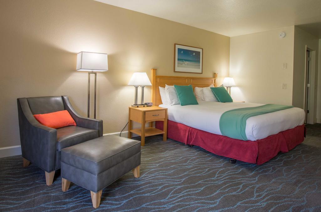 King Room,415437603:JPEG